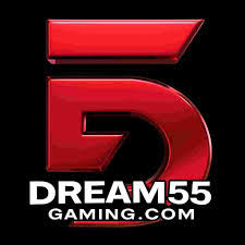 D55 GAME Official APK Logo